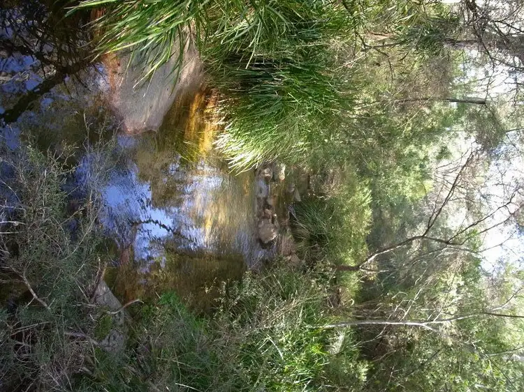 Fourth view of Homely rural property listing, 116 Log Farm Road, Towamba NSW 2550