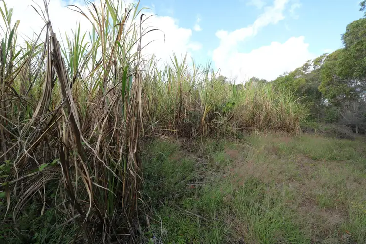 Fifth view of Homely land listing, 494 Butchers Road, South Isis QLD 4660