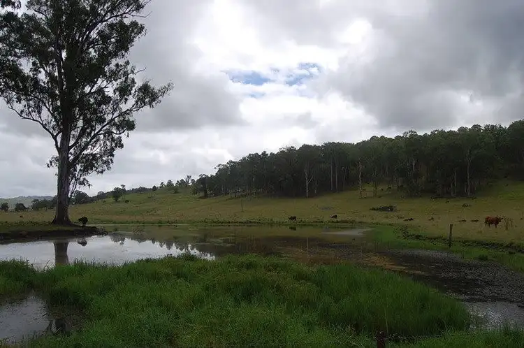 Third view of Homely rural property listing, 2914 Sextonville Rd, Woolners Arm NSW 2470