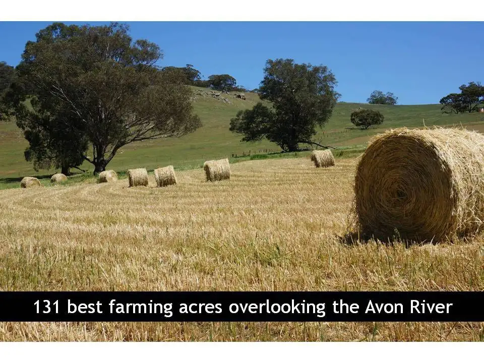 Main view of Homely land listing, Lot 101 Cobbler Pool Road, Toodyay WA 6566