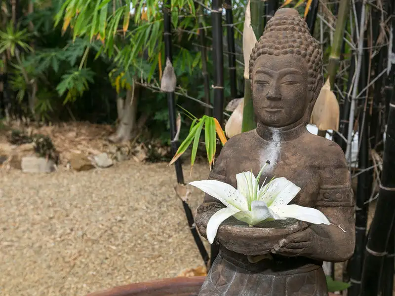 Main view of Homely house listing, 77 Thurston Street, Tingalpa QLD 4173