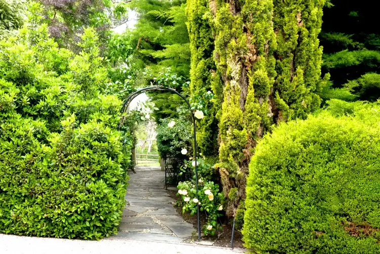 Fifth view of Homely rural property listing, Address available on request