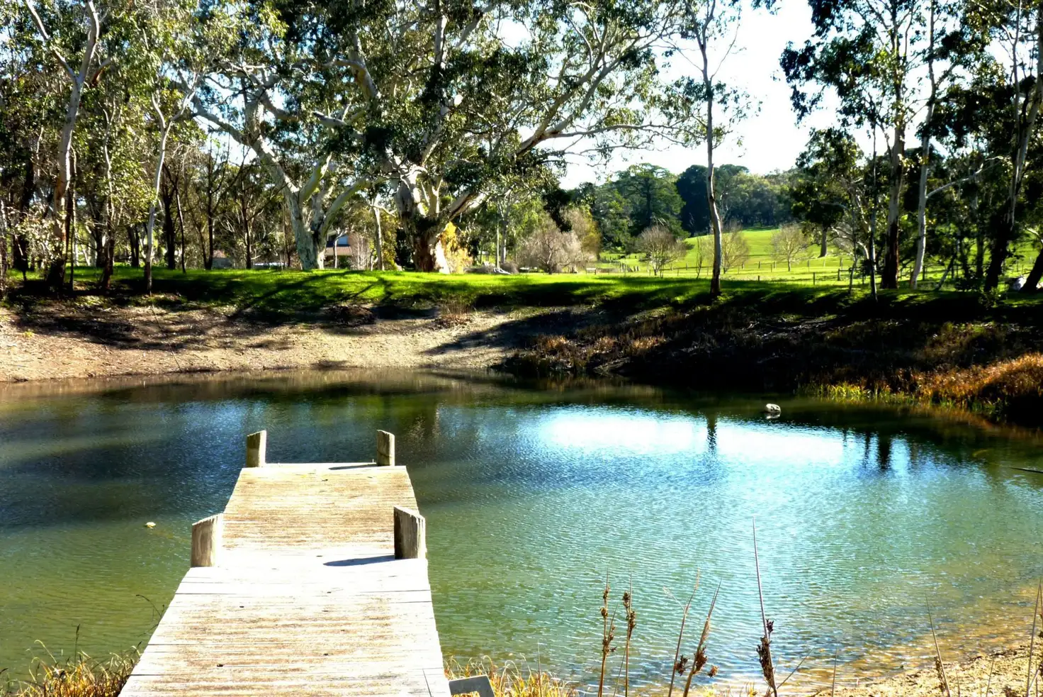 Main view of Homely rural property listing, Address available on request