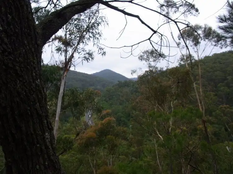 L963 Mt Darragh Road, Lochiel NSW 2549
