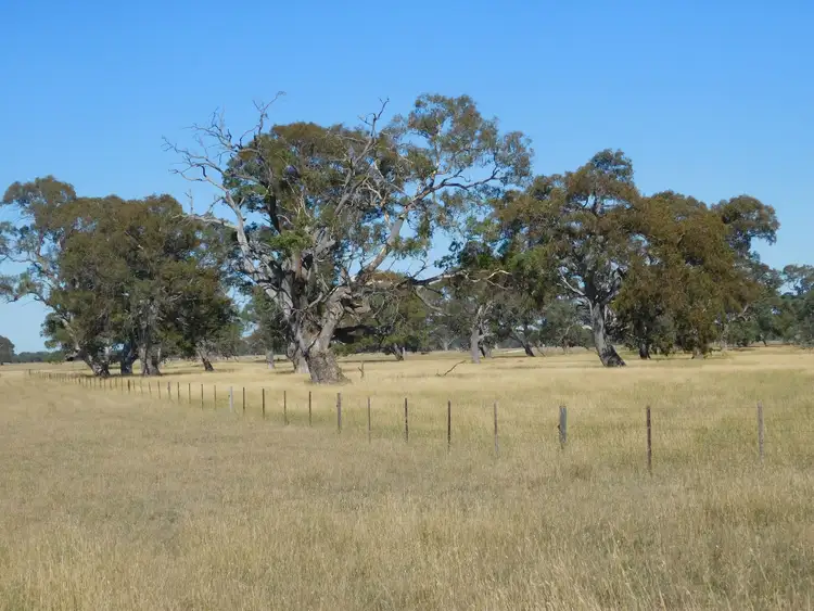 Fifth view of Homely rural property listing, 1203 Old Kalangadoo-Penola Road, Monbulla SA 5277