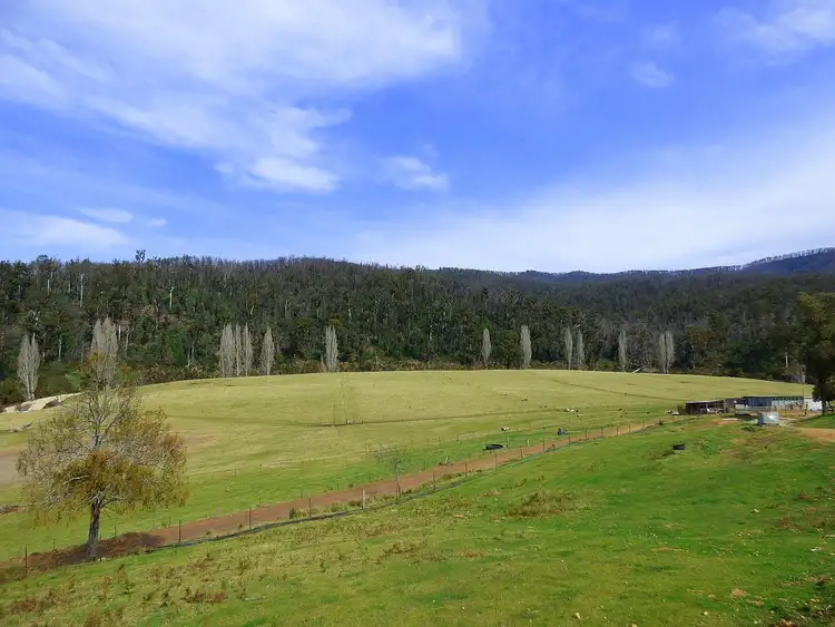 Second view of Homely rural property listing, 1746 The Snake Trk, Towamba NSW 2550