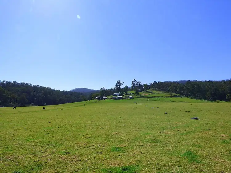 Fifth view of Homely rural property listing, 1746 The Snake Trk, Towamba NSW 2550