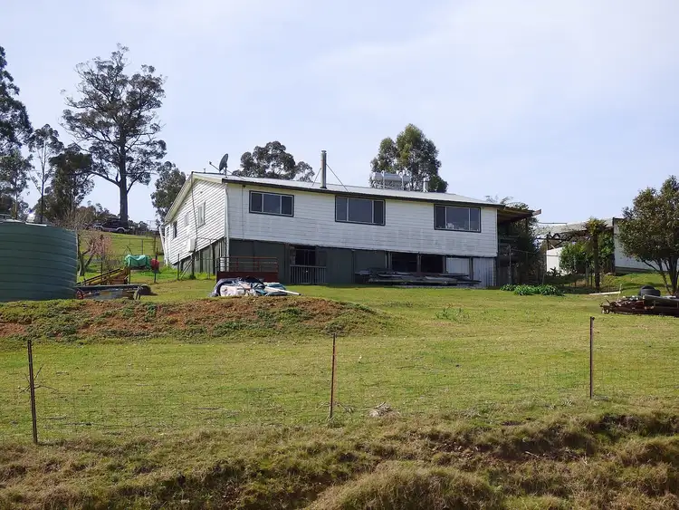 Sixth view of Homely rural property listing, 1746 The Snake Trk, Towamba NSW 2550
