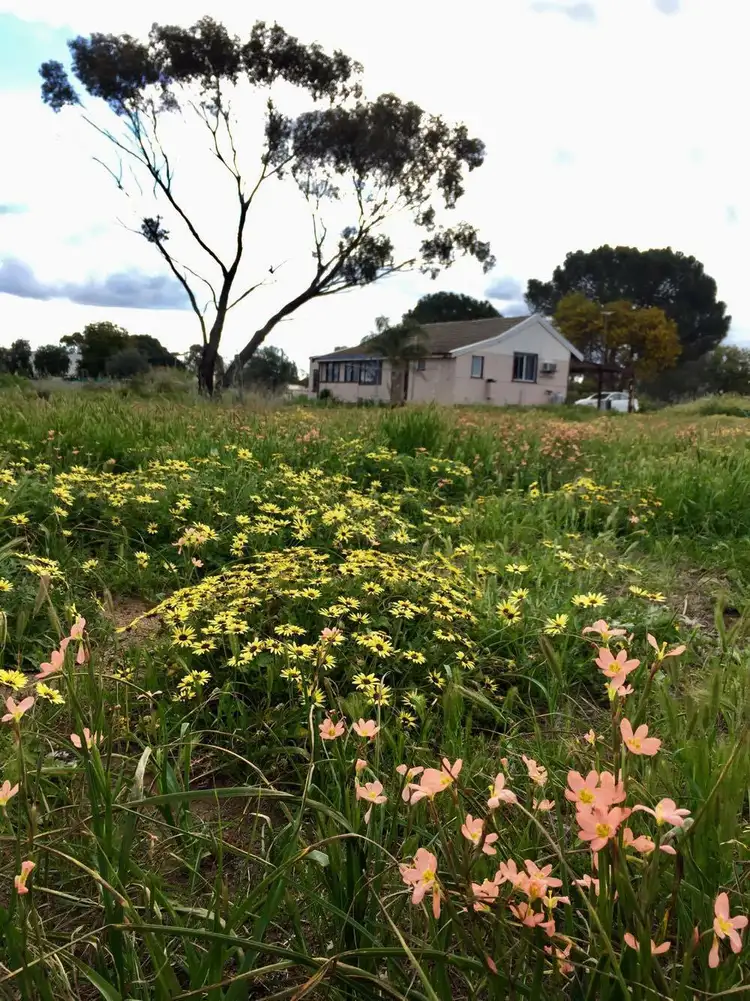 Fourth view of Homely house listing, 38 Forrest St, Quairading WA 6383