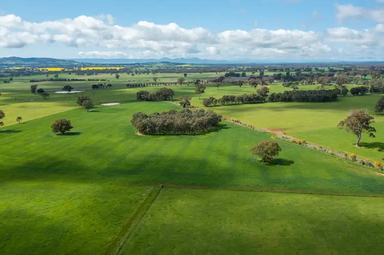 'Glenora'/87 Stony Park Rd, Jindera NSW 2642