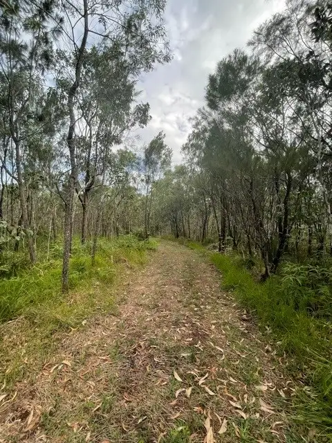 Second view of Homely land listing, Lot 25 McIntosh Road, East Feluga QLD 4854