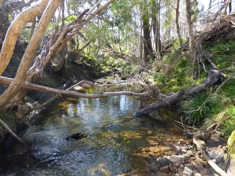 Second view of Homely rural property listing, 24 Imlay Rd, Narrabarba Via, Eden NSW 2551