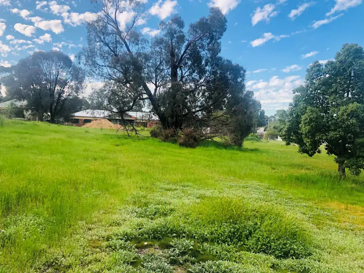 Main view of Homely land listing, 20 Burns St, Axedale VIC 3551