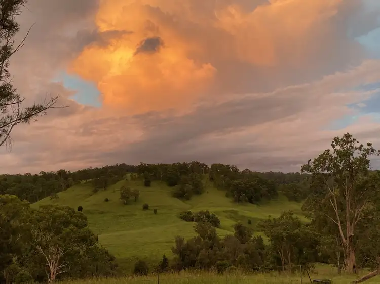 Fourth view of Homely rural property listing, 979 Afterlee Rd, Kyogle NSW 2474