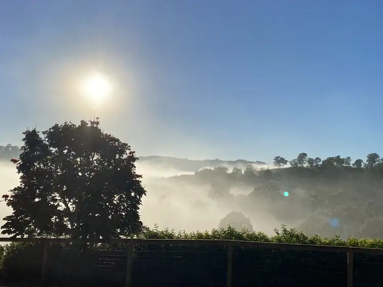 Fifth view of Homely rural property listing, 979 Afterlee Rd, Kyogle NSW 2474