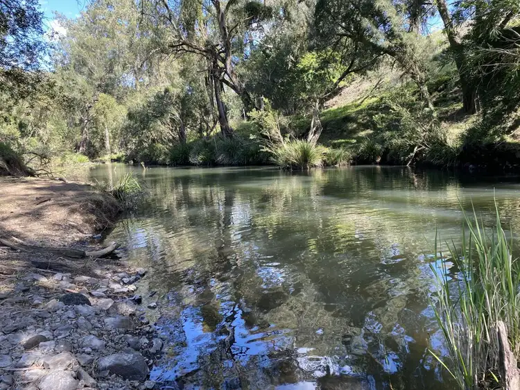 Seventh view of Homely rural property listing, 979 Afterlee Rd, Kyogle NSW 2474