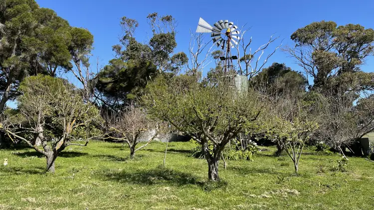 Seventh view of Homely rural property listing, 206 Mayurra Rd, Millicent SA 5280