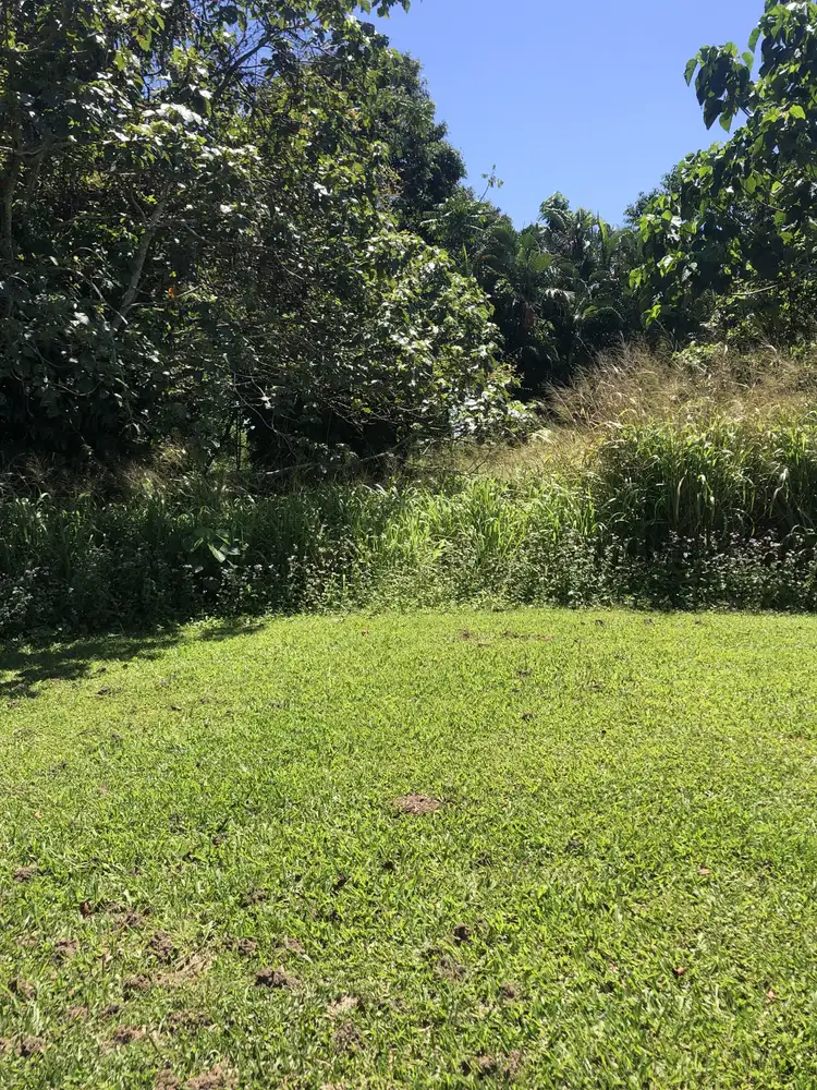 Seventh view of Homely land listing, 799 Davidson Rd, Euramo QLD 4854