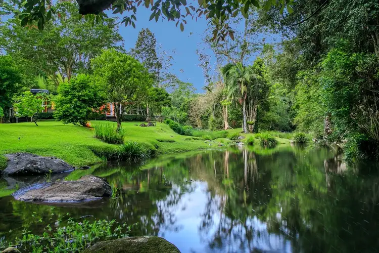 Main view of Homely rural property listing, 132 Upper Wilsons Creek Rd, Upper Wilsons Creek NSW 2482