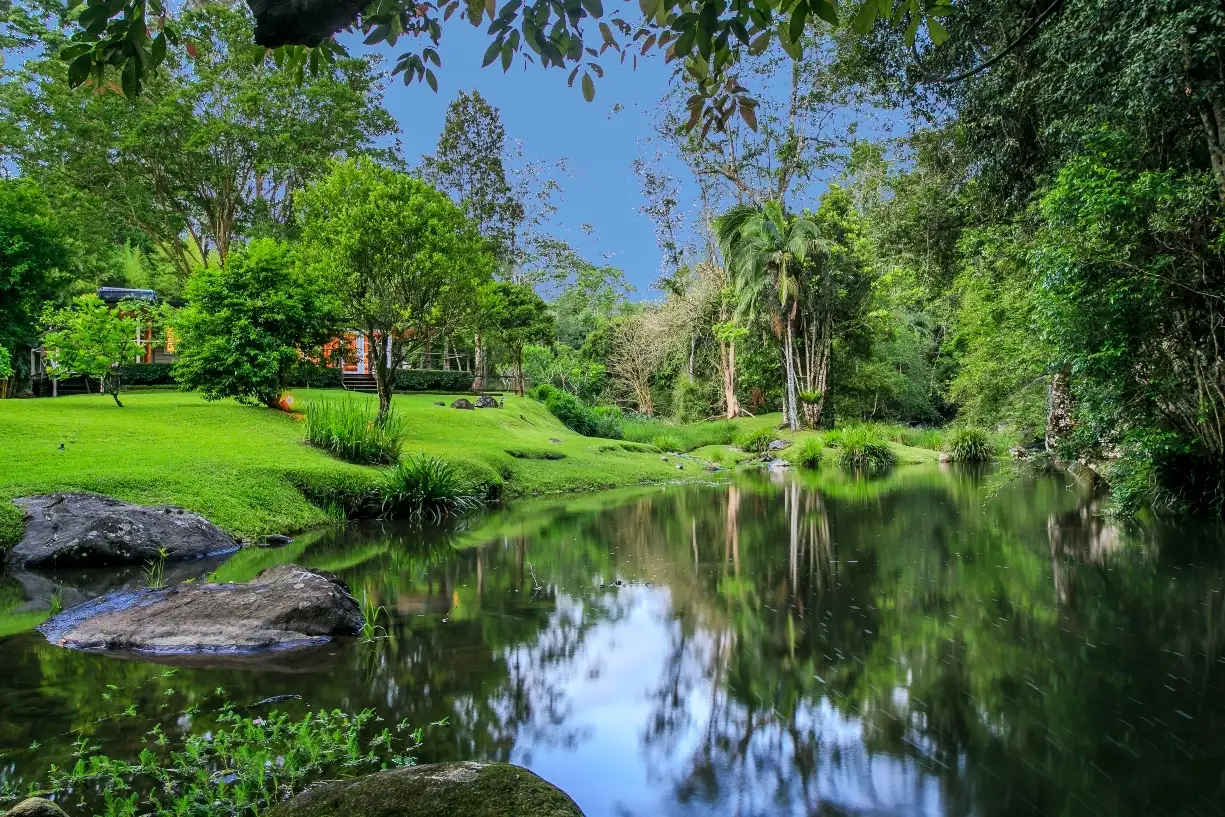 Main view of Homely rural property listing, 132 Upper Wilsons Creek Rd, Upper Wilsons Creek NSW 2482