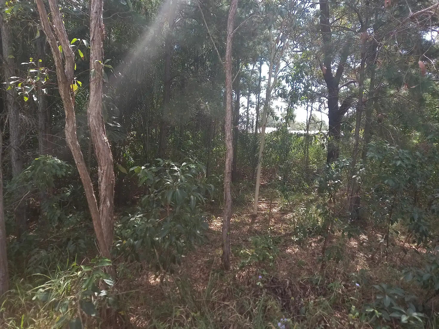Main view of Homely land listing, 13 Sunhaven Rd, Russell Island QLD 4184