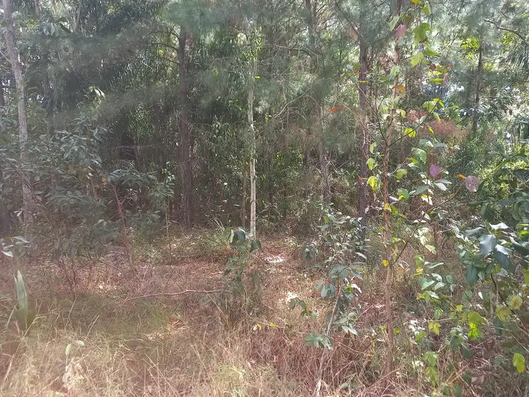 Second view of Homely land listing, 13 Sunhaven Rd, Russell Island QLD 4184