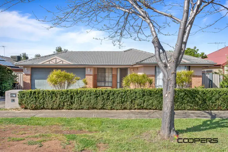 11 Meadow Glen Drive, Melton VIC 3337