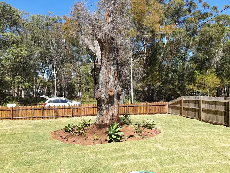 Second view of Homely house listing, 3 Coleus St, Russell Island QLD 4184