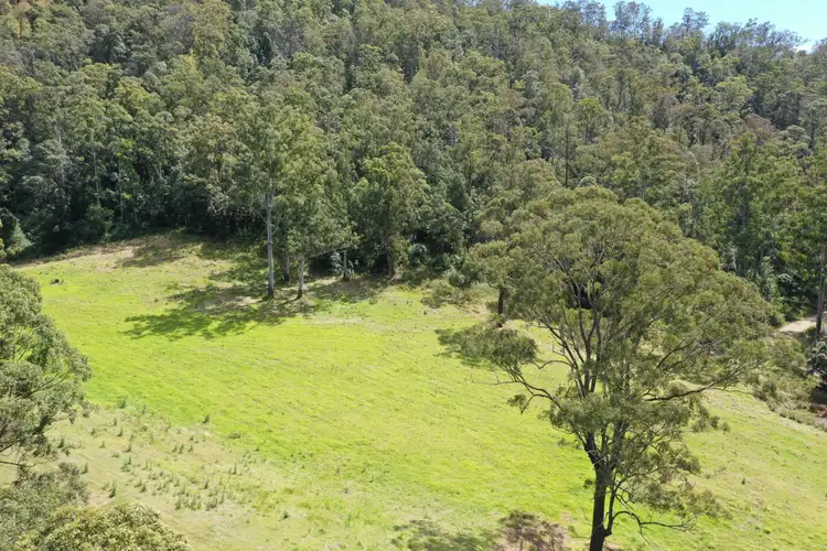 Fourth view of Homely land listing, 10 Forrest Road Lynches Creek, Kyogle NSW 2474