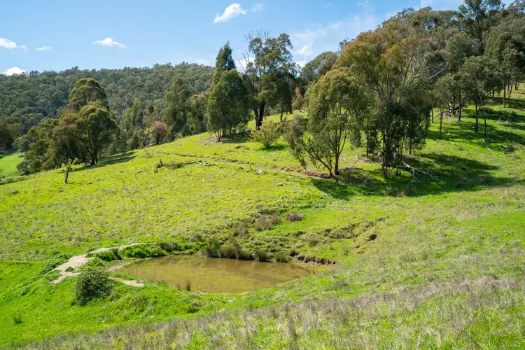 Third view of Homely rural property listing, 'Cherry Plum'/265 Little Snowy Creek Rd, Eskdale VIC 3701