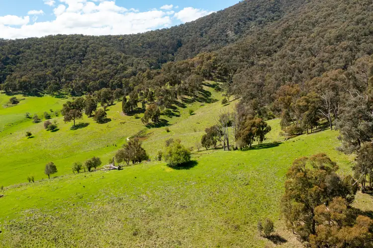 Fourth view of Homely rural property listing, 'Cherry Plum'/265 Little Snowy Creek Rd, Eskdale VIC 3701
