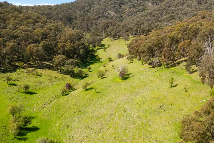 Sixth view of Homely rural property listing, 'Cherry Plum'/265 Little Snowy Creek Rd, Eskdale VIC 3701