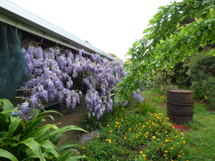 Third view of Homely house listing, 188 Merriang Road, Myrtleford VIC 3737