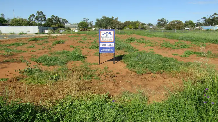 13 Harris St, Trangie NSW 2823