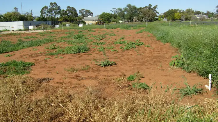 Third view of Homely land listing, 13 Harris St, Trangie NSW 2823
