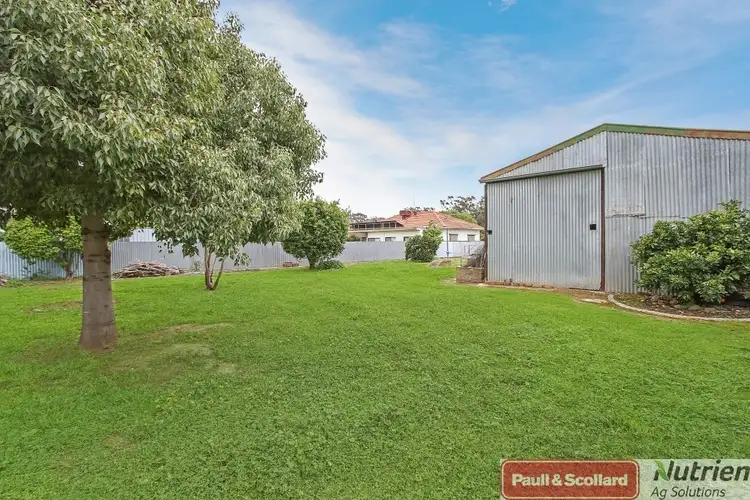 Seventh view of Homely house listing, 9 Wenke St, Walla Walla NSW 2659