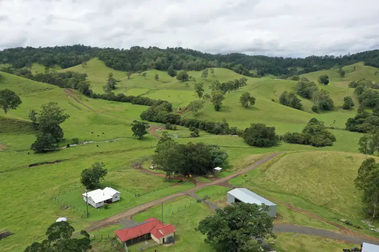 Main view of Homely rural property listing, 403 Wyndham Creek Road, Kyogle NSW 2474