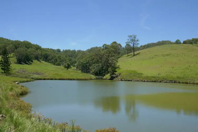 Second view of Homely rural property listing, 403 Wyndham Creek Road, Kyogle NSW 2474
