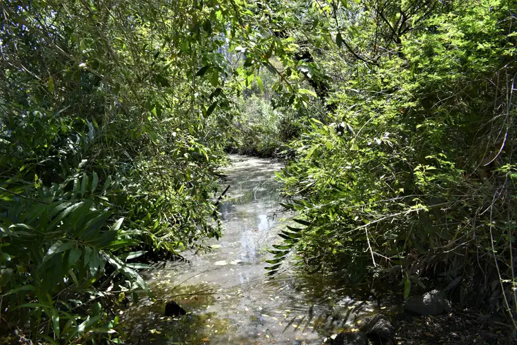 Third view of Homely rural property listing, 67 Willetts Rd, Bauple QLD 4650