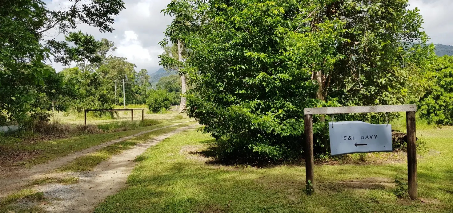 Main view of Homely rural property listing, 6/453 Bilyana Rd, Murray Upper QLD 4854