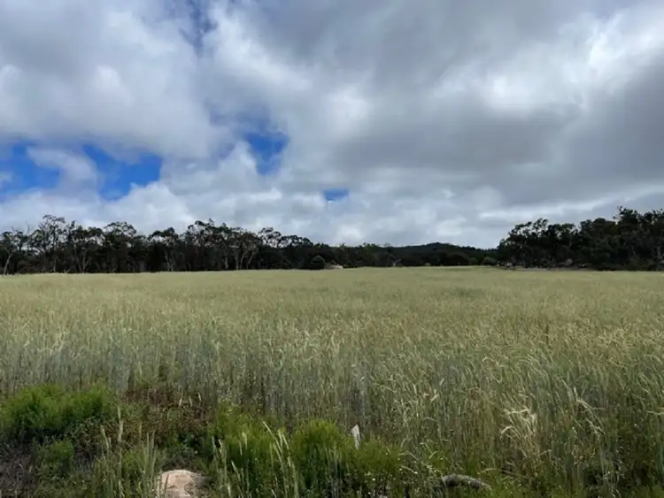 Seventh view of Homely rural property listing, 873 Thorndale Road, Glen Aplin QLD 4381