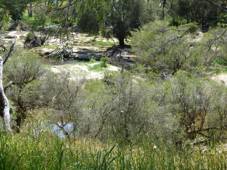 Seventh view of Homely land listing, Lot/88 Moran Street, Toodyay WA 6566
