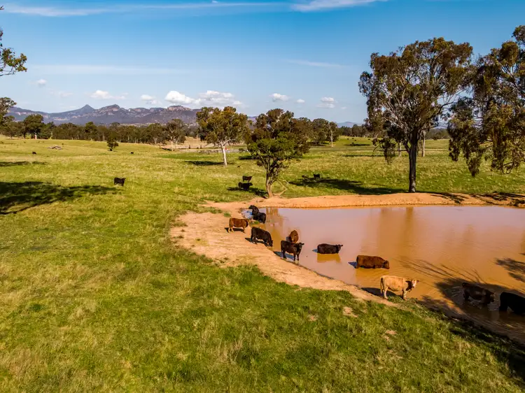 Sixth view of Homely rural property listing, 190 To 250 Dunville Loop Road, Rylstone NSW 2849