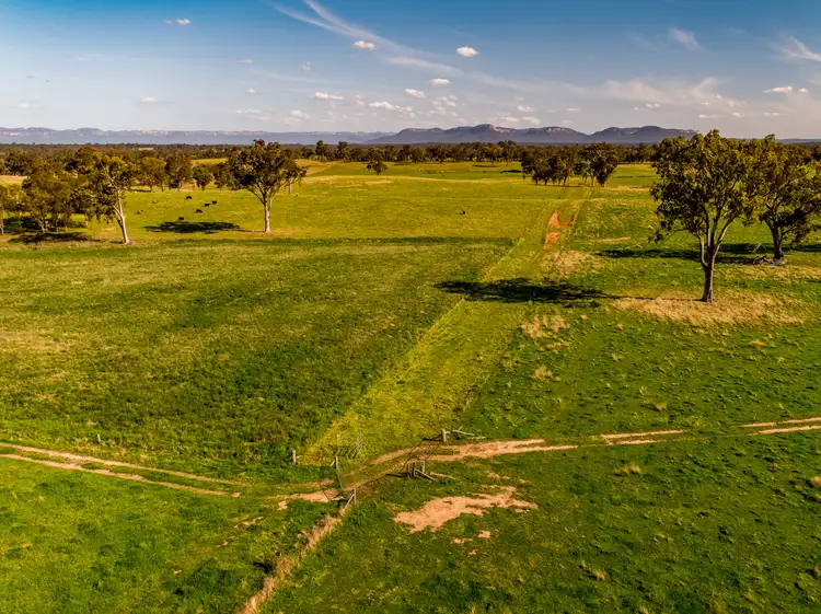 Seventh view of Homely rural property listing, 190 To 250 Dunville Loop Road, Rylstone NSW 2849