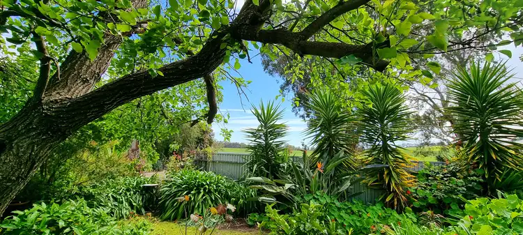 Main view of Homely house listing, 4 Woodgate St, Echunga SA 5153