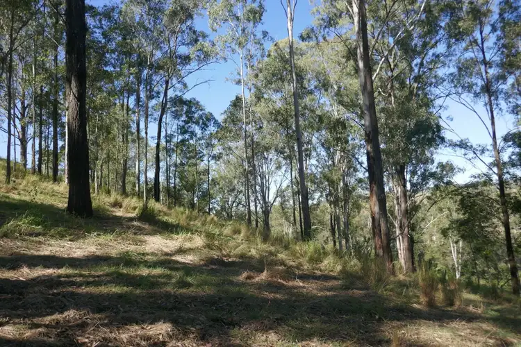 Fourth view of Homely rural property listing, Lot 12 Ghinni Ghi Road, Kyogle NSW 2474