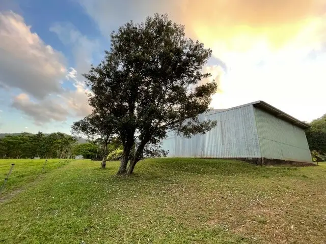 Sixth view of Homely land listing, 555 Bingil Bay Rd, Bingil Bay QLD 4852
