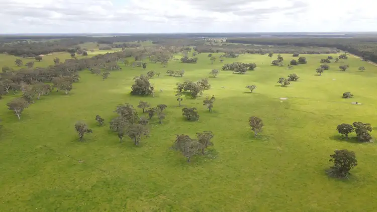 Second view of Homely rural property listing, Lot4 Clay Wells Road, Wattle Range SA 5280