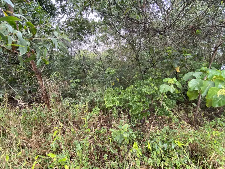Main view of Homely land listing, 2 Peter Ct, Macleay Island QLD 4184