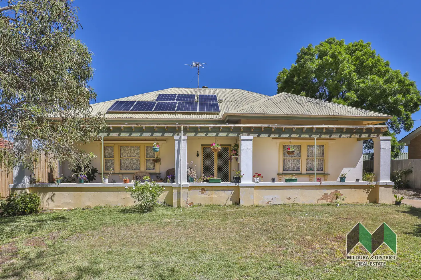 Main view of Homely house listing, 22 Box St, Merbein VIC 3505